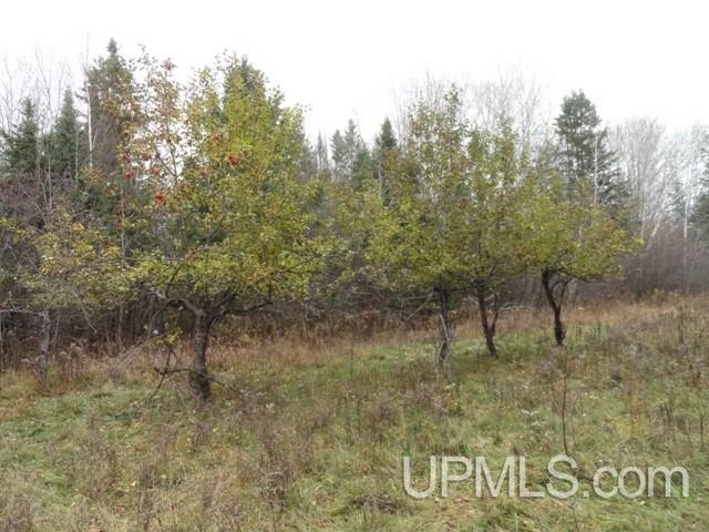 24494 L P Walsh Road White Pine, MI 49971 - Photo 22 of 28