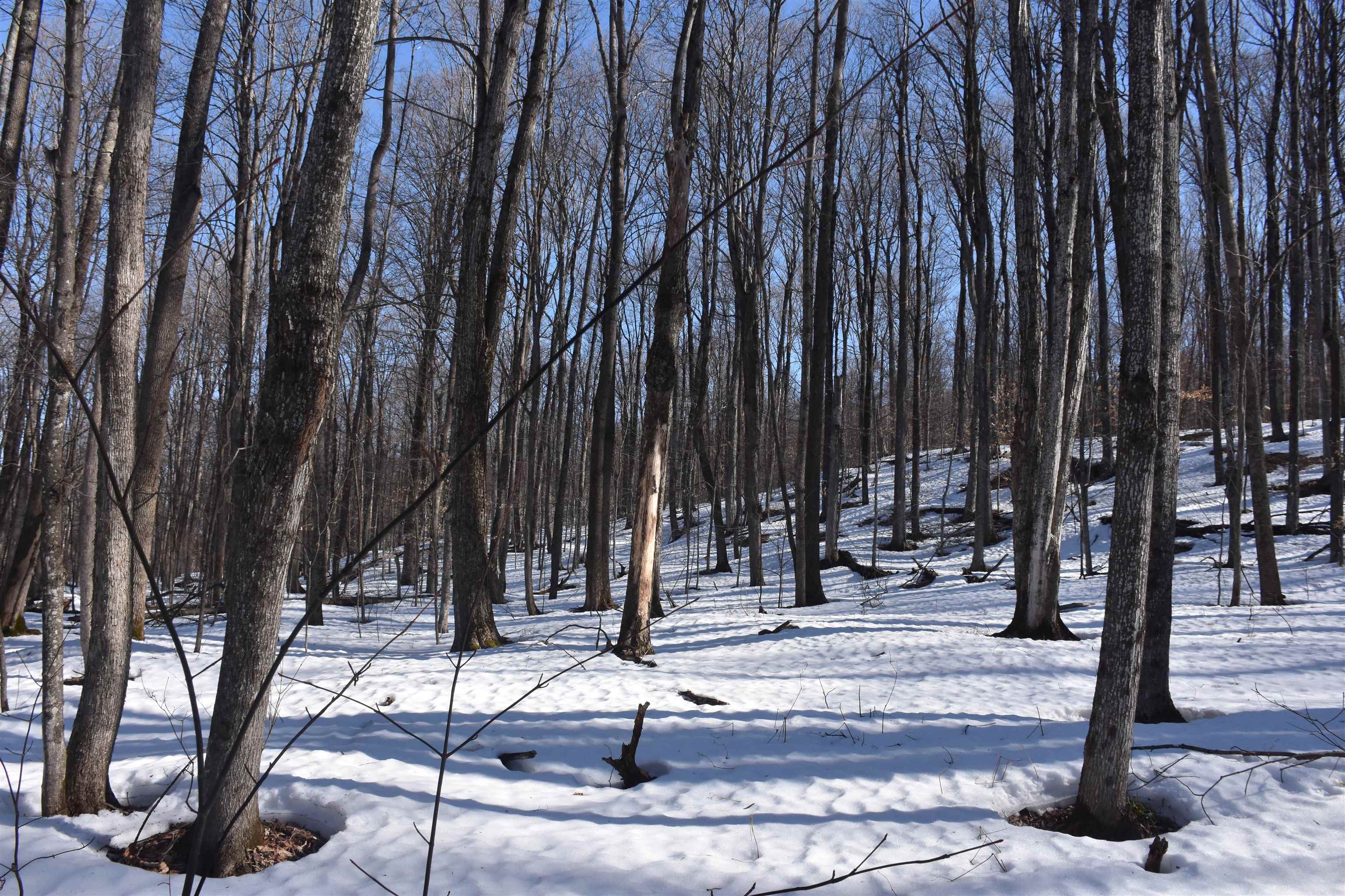 397 Winch Hill Extension Roxbury, VT 05663 - Photo 36 of 57