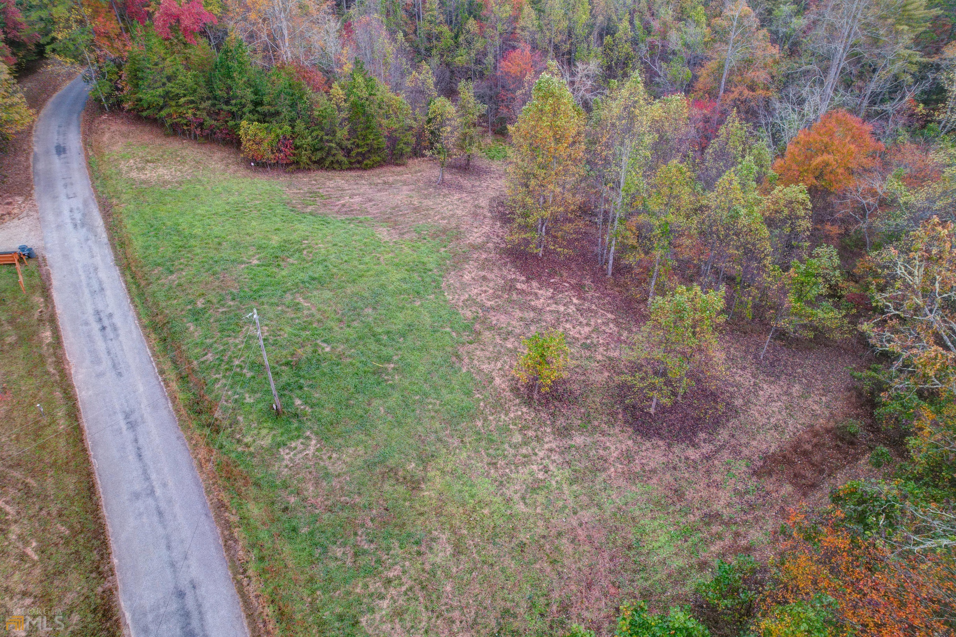 0 Cook Henry Road Morganton, GA 30560 - Photo 1 of 1 Gallery Image 1