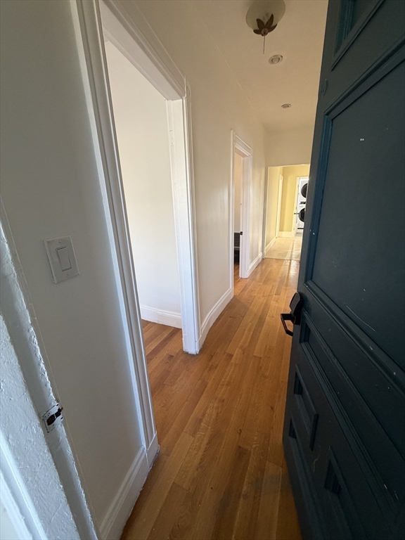 3 Spring Garden Street, Unit 3 Boston, MA 02125 - Photo 34 of 37 Gallery Image 34