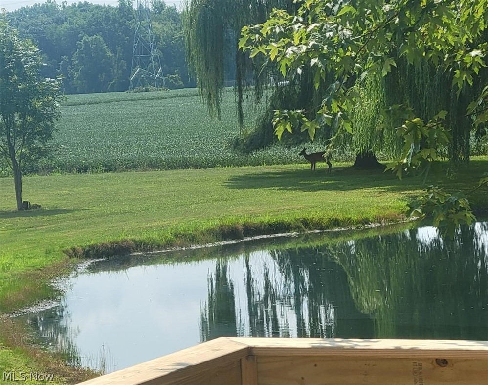 52675 North Ridge Road Vermilion, OH 44089 - Photo 37 of 42 Property view of water, deer under tree