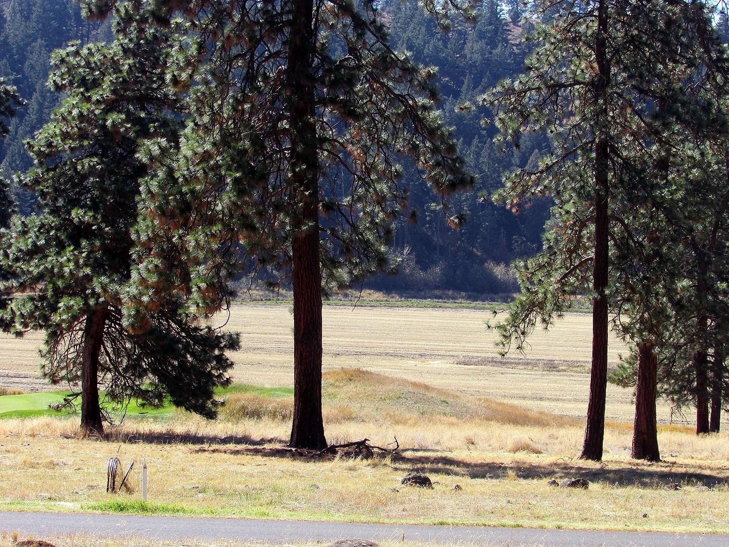 124 Merganser Road Klamath Falls, OR 97601 - Photo 13 of 17 Additional Photo