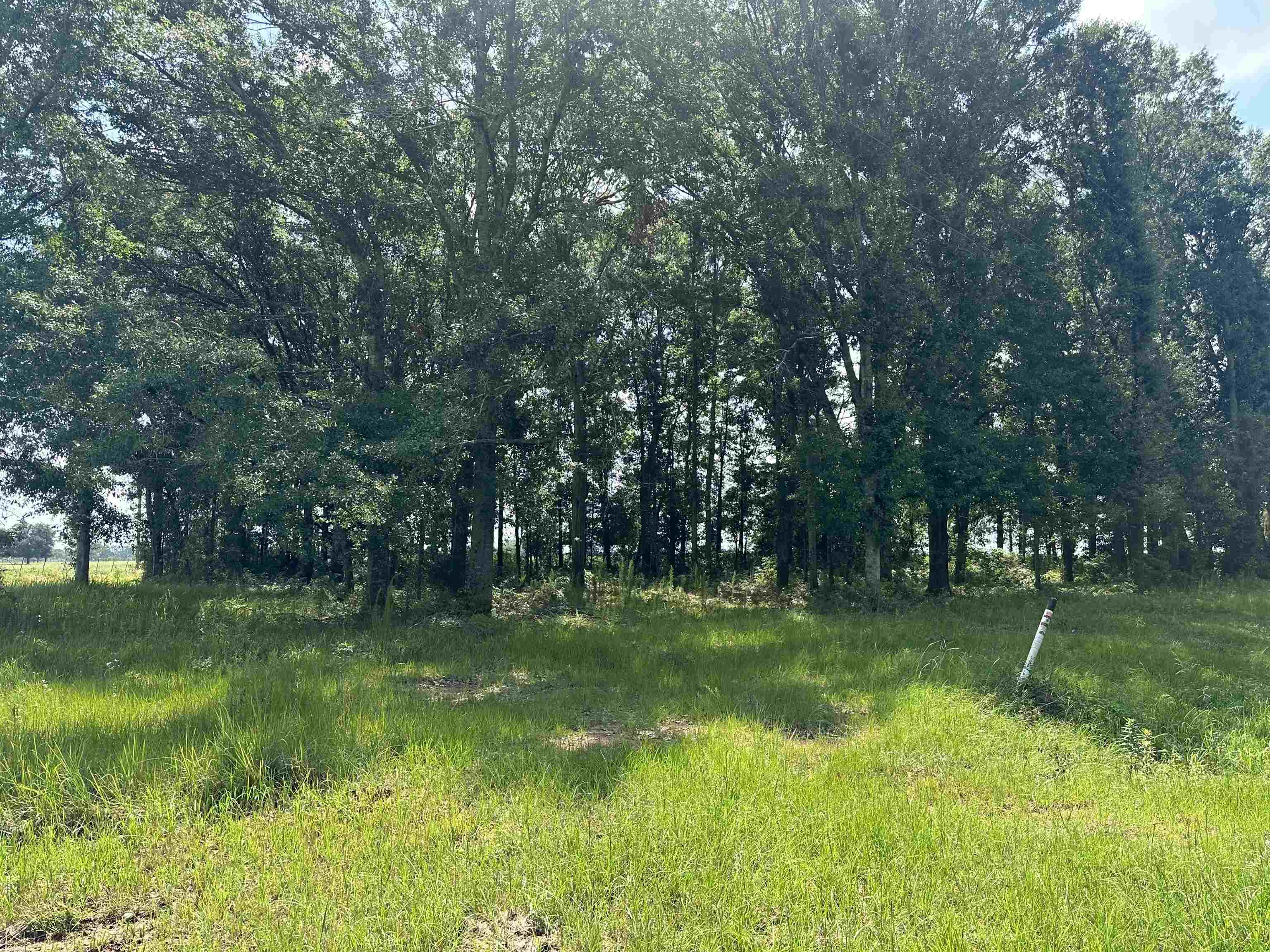 62 North County Road Robertsdale, AL 36567 - Photo 6 of 7