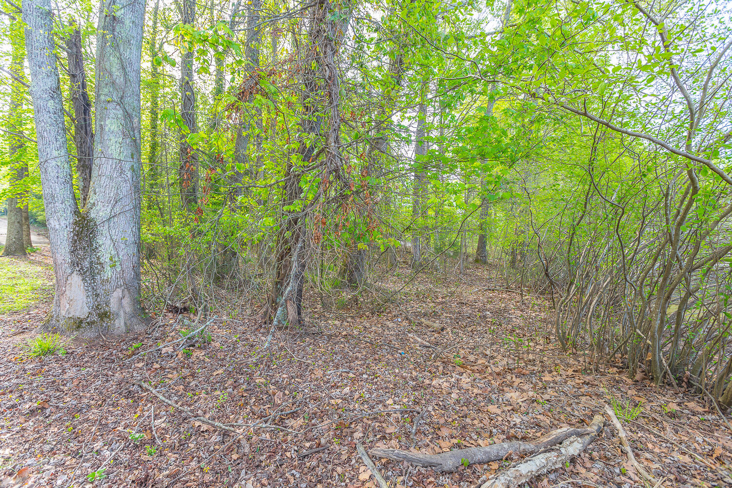 4410 Johnson Road Birchwood, TN 37308 - Photo 2 of 6 4410 Johnson Road HD -2