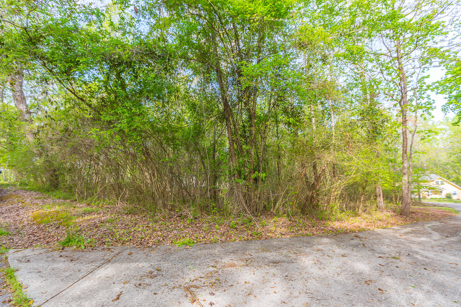 4410 Johnson Road Birchwood, TN 37308 - Photo 5 of 6 4410 Johnson Road HD -5