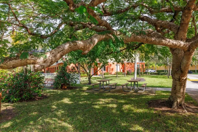 a view of a park with large trees