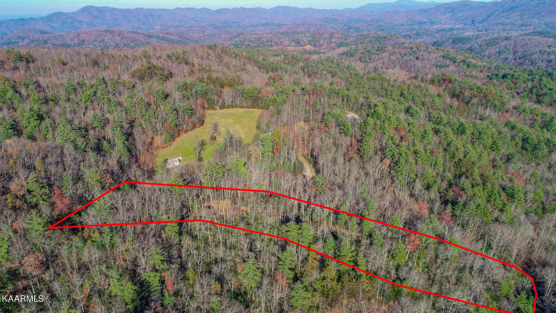 1301 Ridge Hollow Road Del Rio, TN 37727 - Photo 4 of 26 4