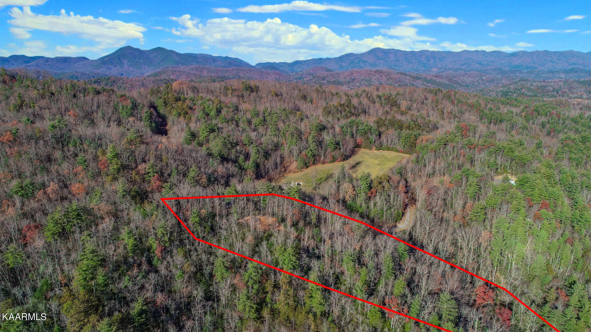 1301 Ridge Hollow Road Del Rio, TN 37727 - Photo 5 of 26 5ps