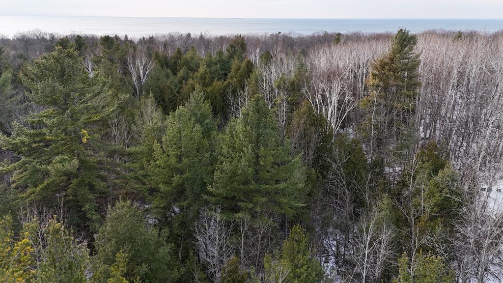 Parcel A Gibraltar Blf Road Fish Creek, WI 54212 - Photo 9 of 11