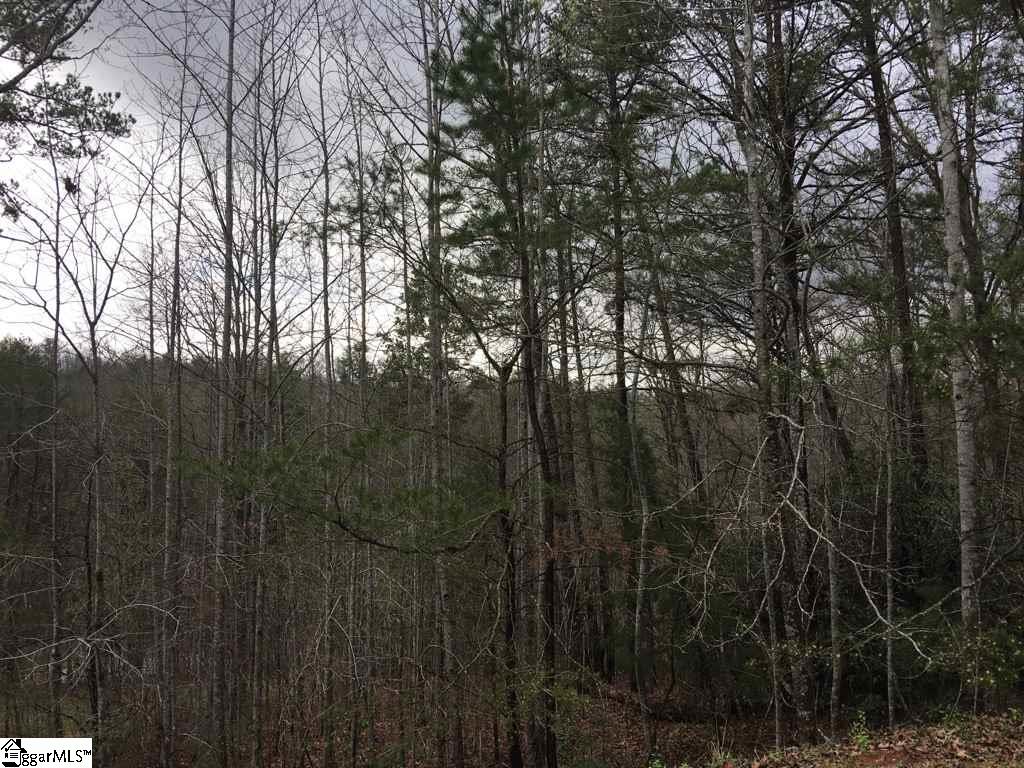 0 Nugget Ridge Lane Cleveland, SC 29635 - Photo 1 of 5 Gallery Image 1