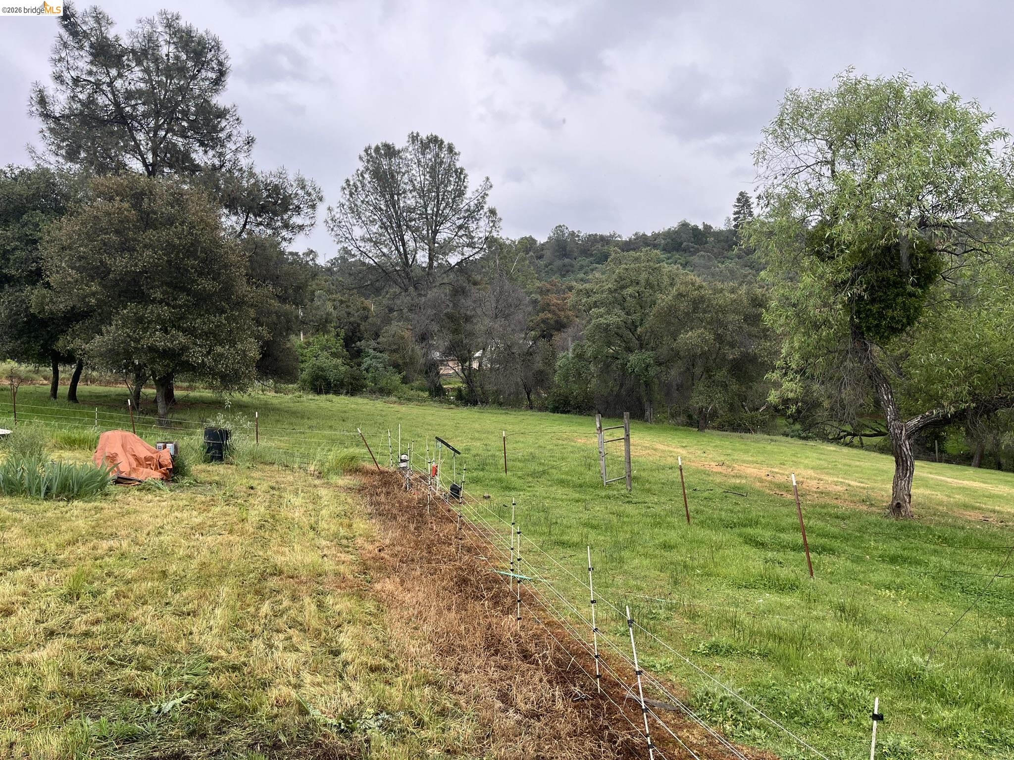 19644 Rawhide Road Sonora, CA 95370 - Photo 34 of 45 View of green lawn featuring a rural view