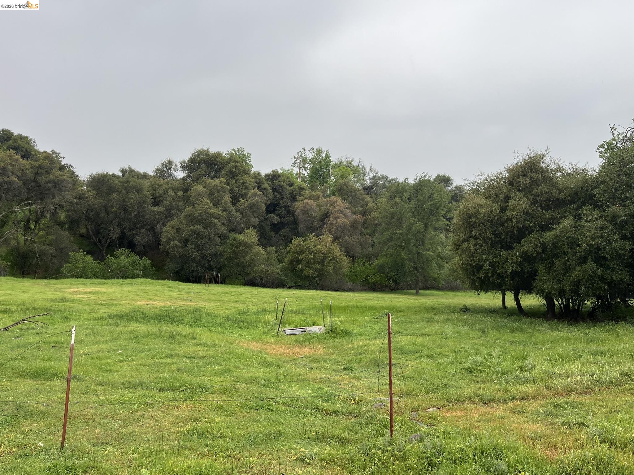 19644 Rawhide Road Sonora, CA 95370 - Photo 36 of 45 View of grassy yard featuring a view of rural / pastoral area