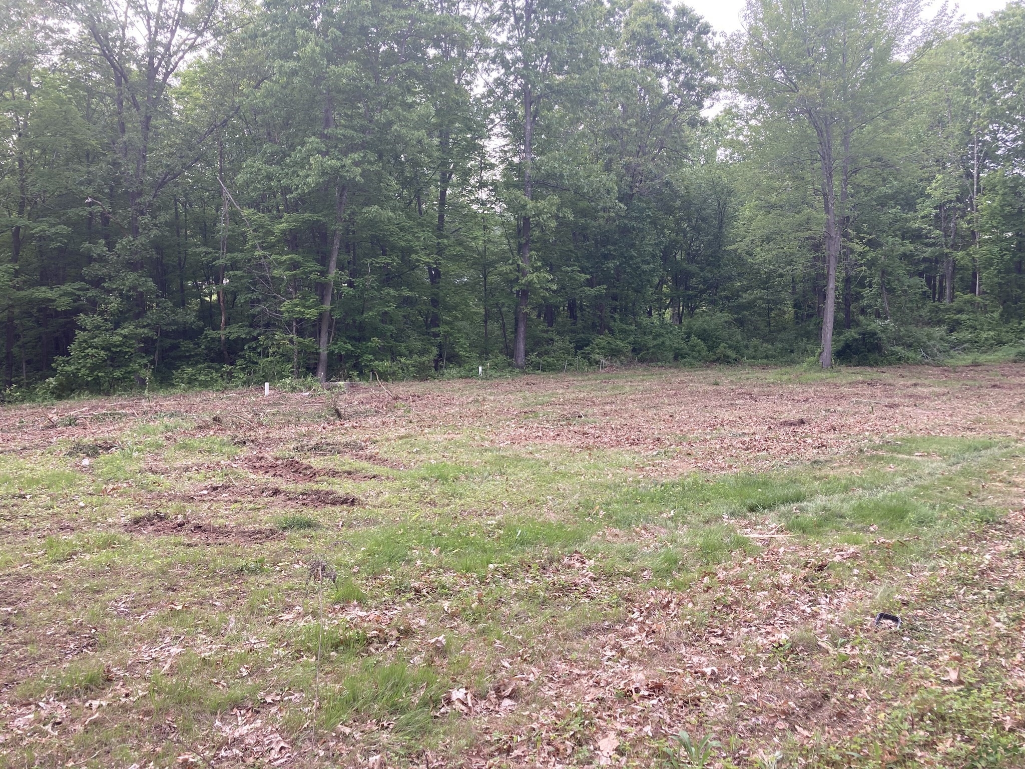 0 West Road Westfield, MA 01085 - Photo 12 of 23 Gallery Image 12