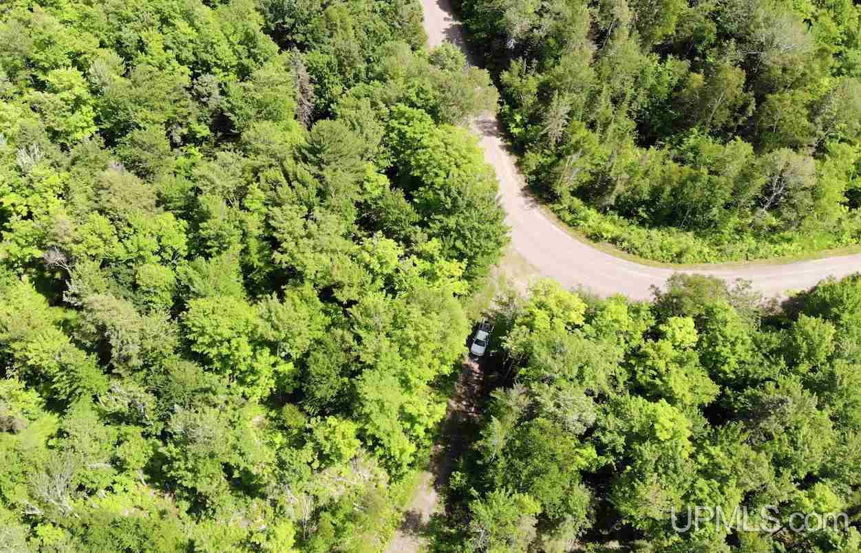 Tbd Upper Massie Road Chassell, MI 49916 - Photo 12 of 12 Gallery Image 12