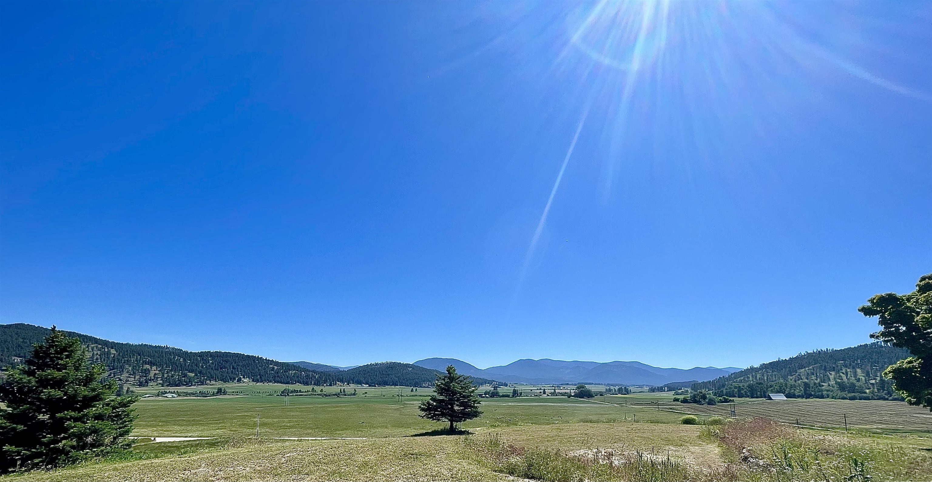 1900A Tetro Road Chewelah, WA 99109 - Photo 16 of 19 Gallery Image 16
