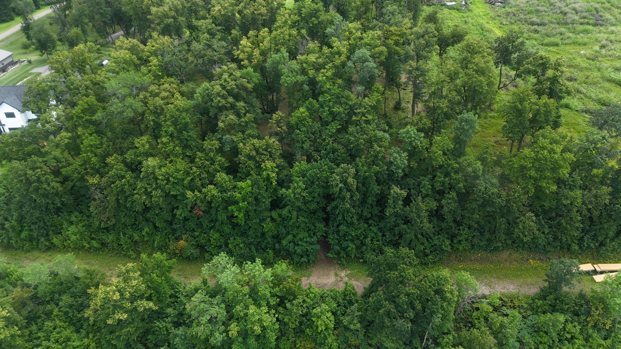 0 Coleman Road Clitherall, MN 56524 - Photo 8 of 18