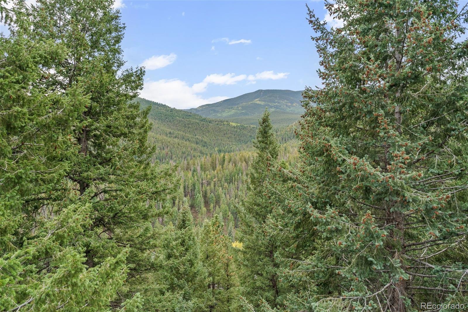 32438 Little Cub Road Evergreen, CO 80439 - Photo 36 of 46 Gallery Image 36