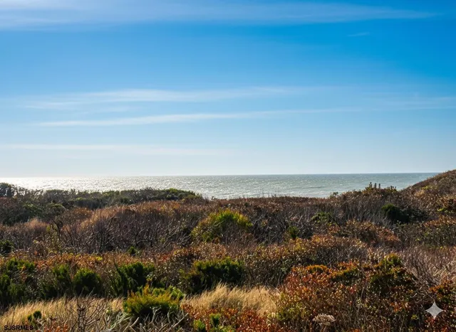 a view of city and mountain