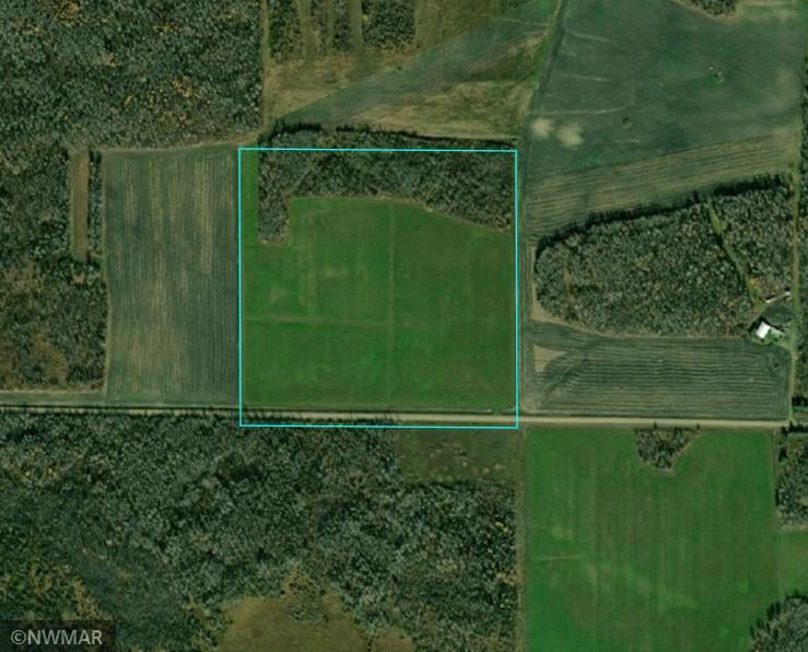 Tbd Hamre Road Northwest Grygla, MN 56727 - Photo 1 of 1 Gallery Image 1