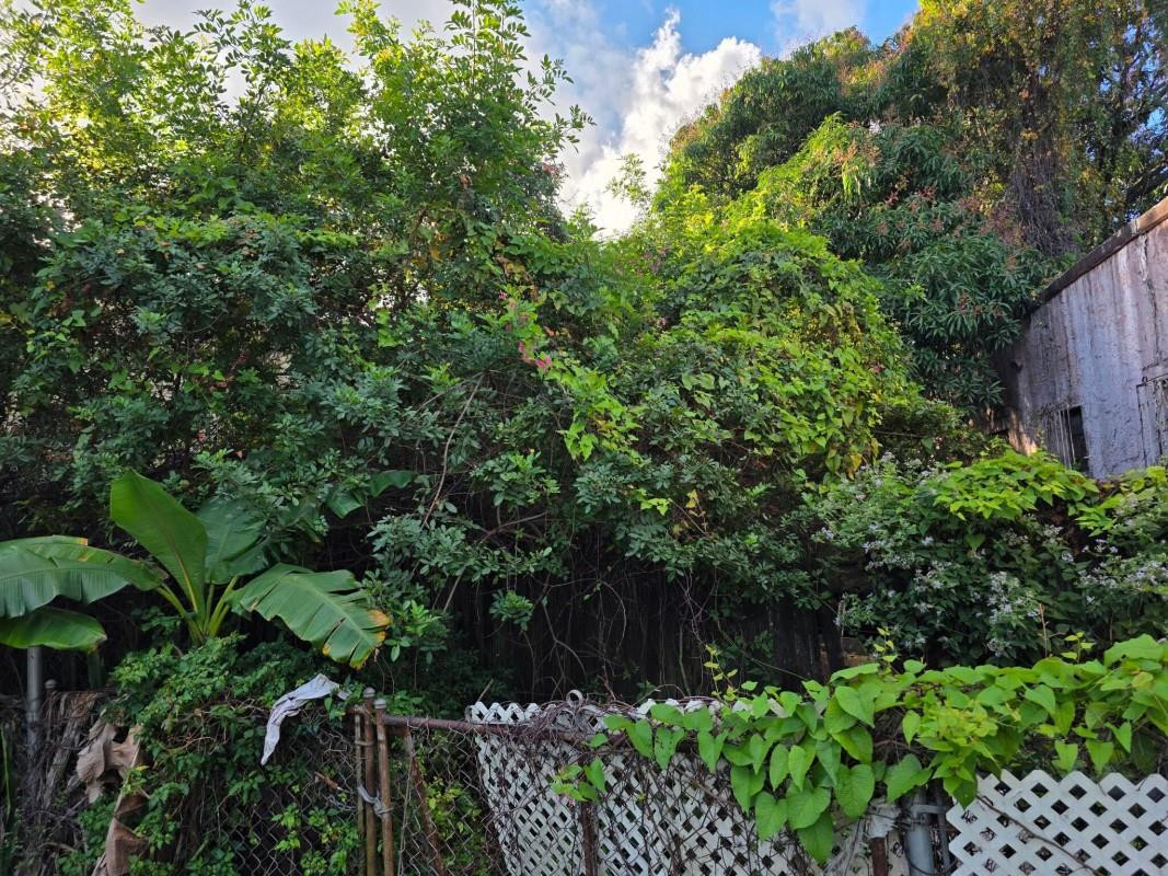 660 Northwest 43rd Street Miami, FL 33127 - Photo 4 of 5 Photo 4