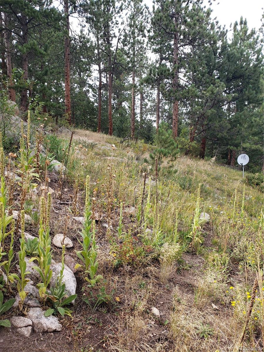 11769 Ranch Elsie Road Golden, CO 80403 - Photo 39 of 39