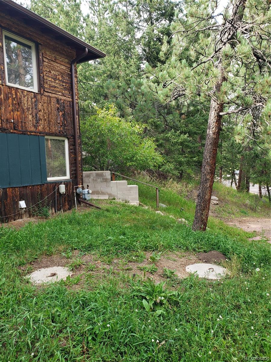 11769 Ranch Elsie Road Golden, CO 80403 - Photo 7 of 39 a backyard of a house with lots of green space
