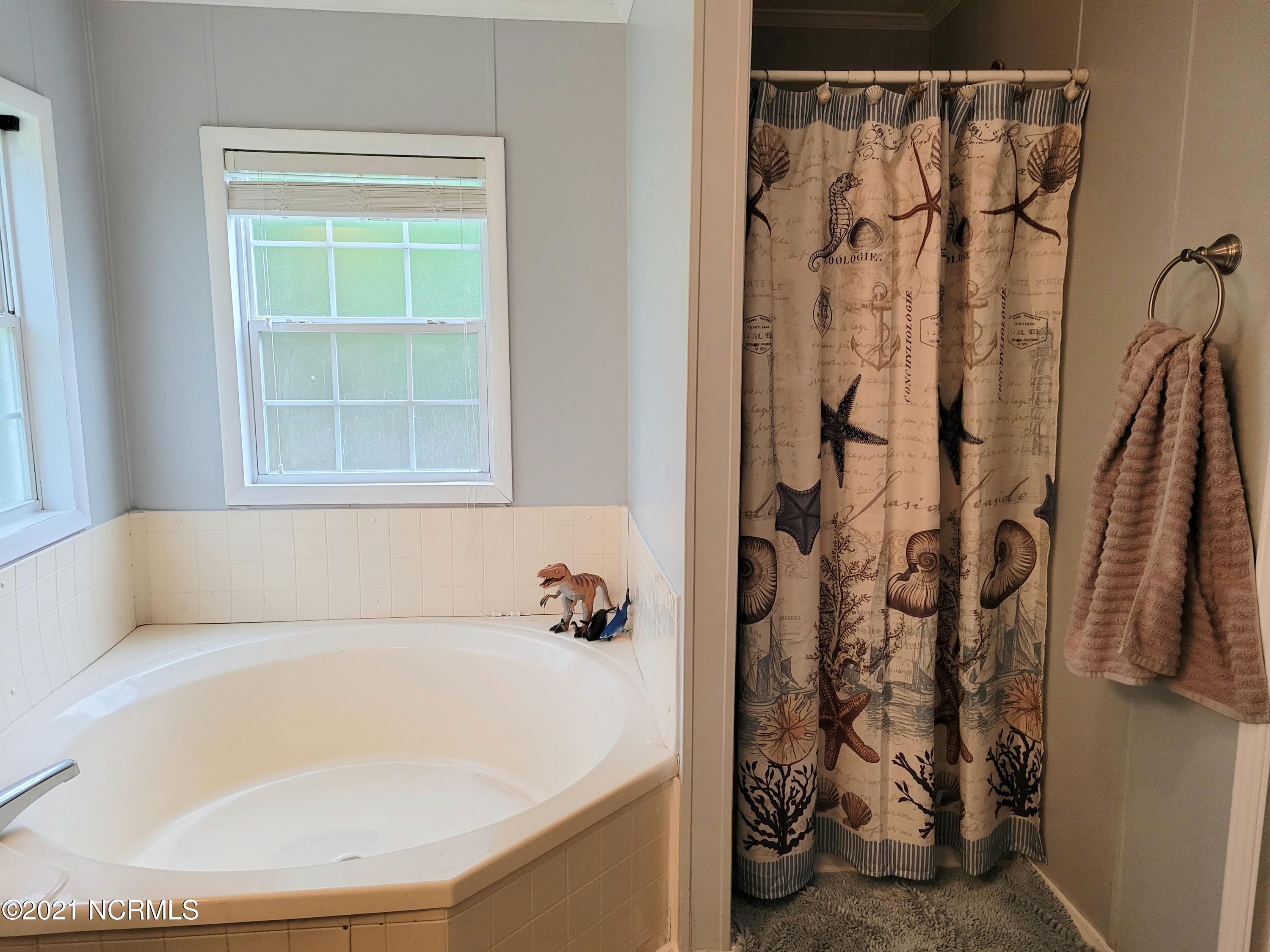 657 Straits Road Gloucester, NC 28528 - Photo 19 of 30 Soaking Tub/Stand up Shower