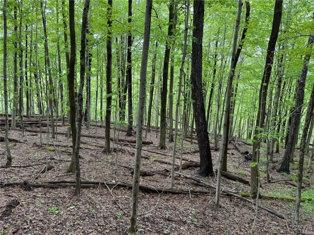 Old State Road Erieville, NY 13061 - Photo 2 of 9