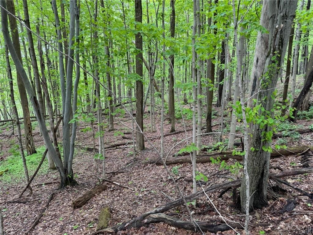 Old State Road Erieville, NY 13061 - Photo 3 of 9