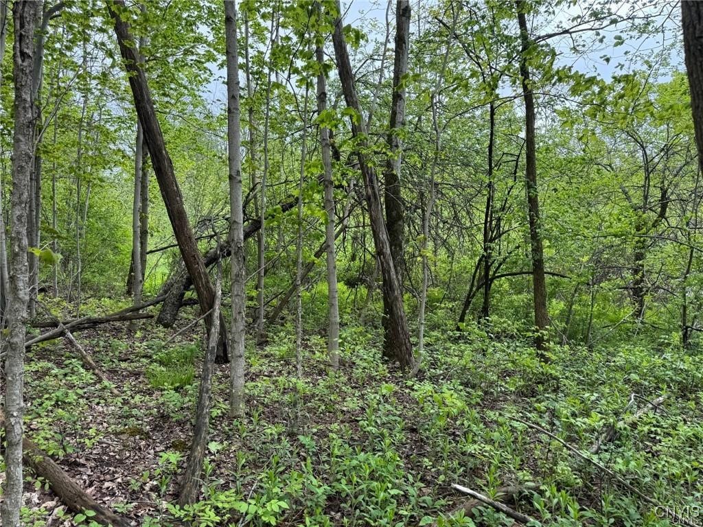 Old State Road Erieville, NY 13061 - Photo 4 of 9