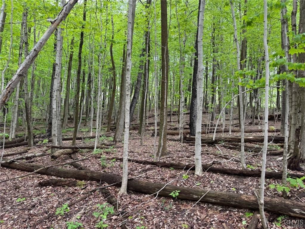 Old State Road Erieville, NY 13061 - Photo 6 of 9