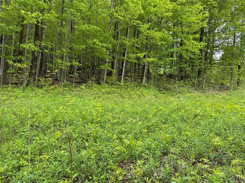 Old State Road Erieville, NY 13061 - Photo 7 of 9