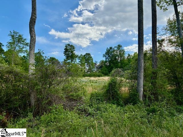 411 Dill Road Campobello, SC 29322 - Photo 6 of 18