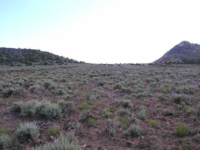 Lot 111 South Virginia Reno, NV 89521 - Photo 1 of 3 a view of a dry field
