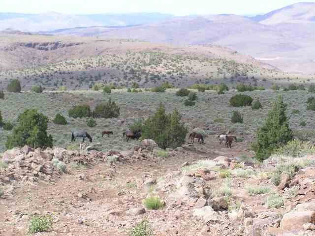 Lot 111 South Virginia Reno, NV 89521 - Photo 2 of 3 a view of a lake with mountains in the background