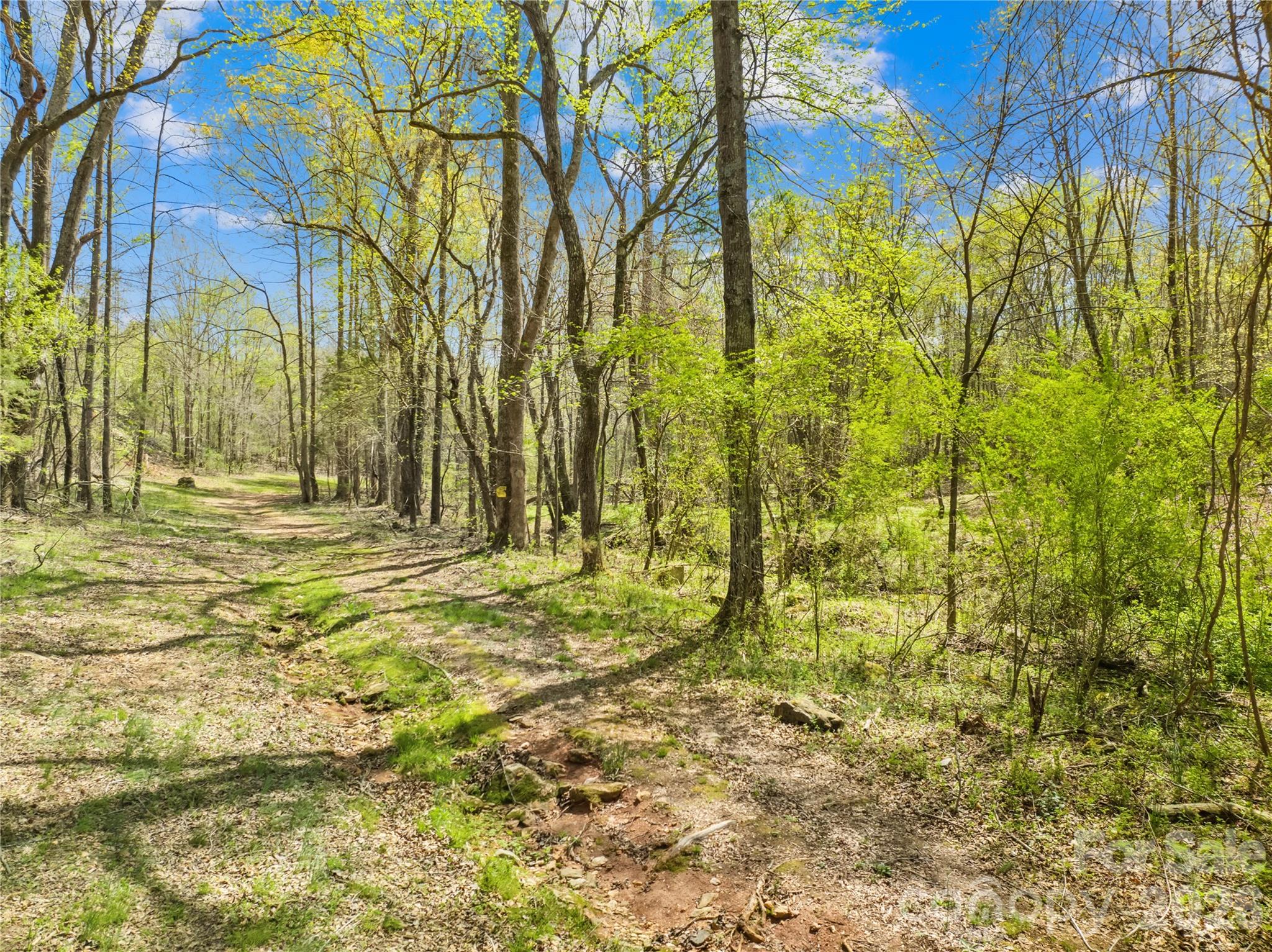 322 South Main Street Shelby, NC 28152 - Photo 26 of 29