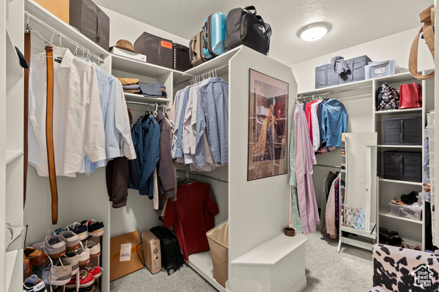 135 Cove Drive Elk Ridge, UT 84651 - Photo 24 of 45 Master Closet