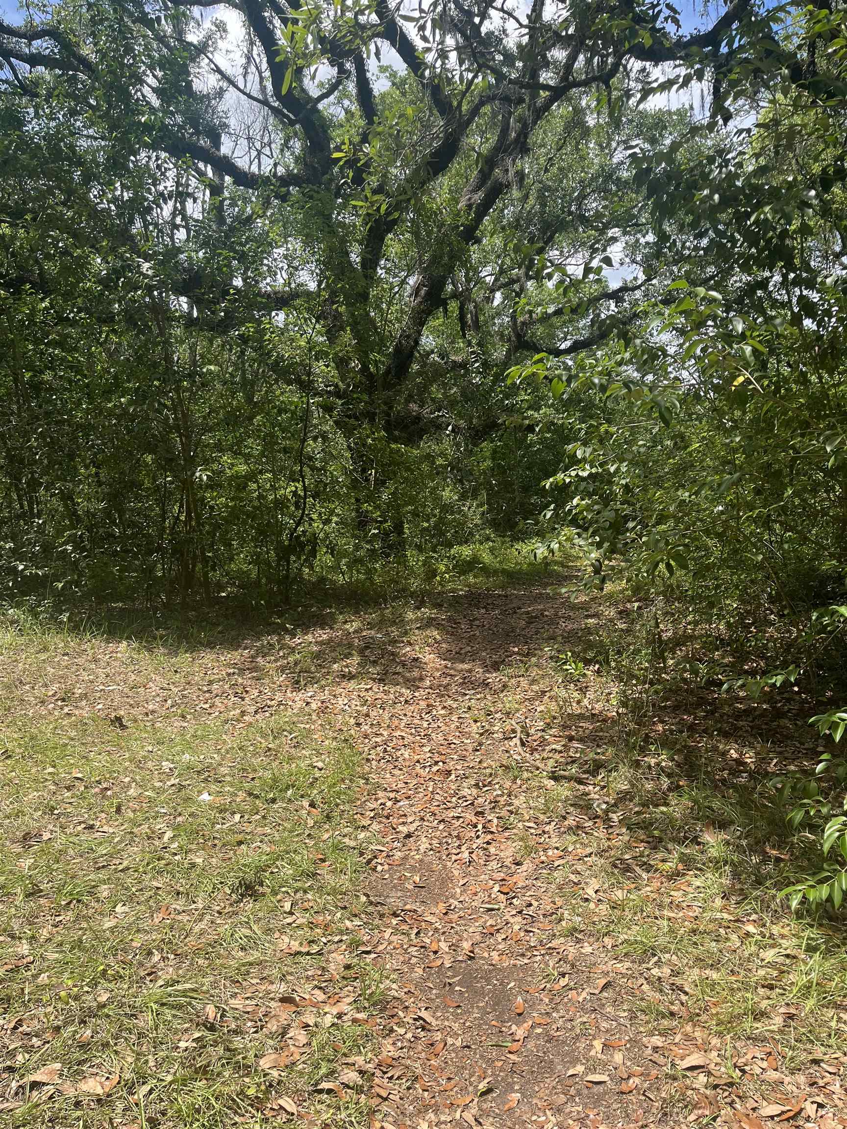 1612 Old Bainbridge Road Tallahassee, FL 32303 - Photo 2 of 9