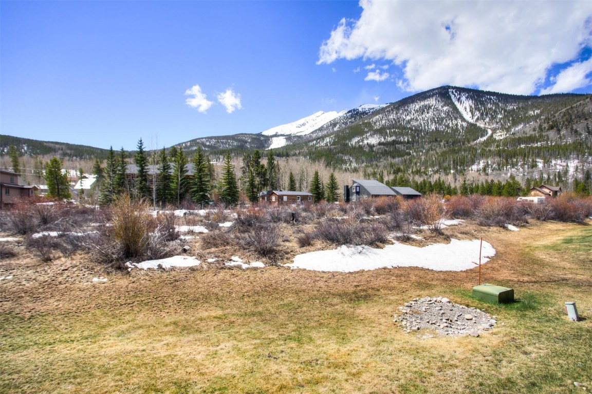 570 Bills Ranch Road, Unit 115 Frisco, CO 80443 - Photo 3 of 31 a view of a yard with a large tree
