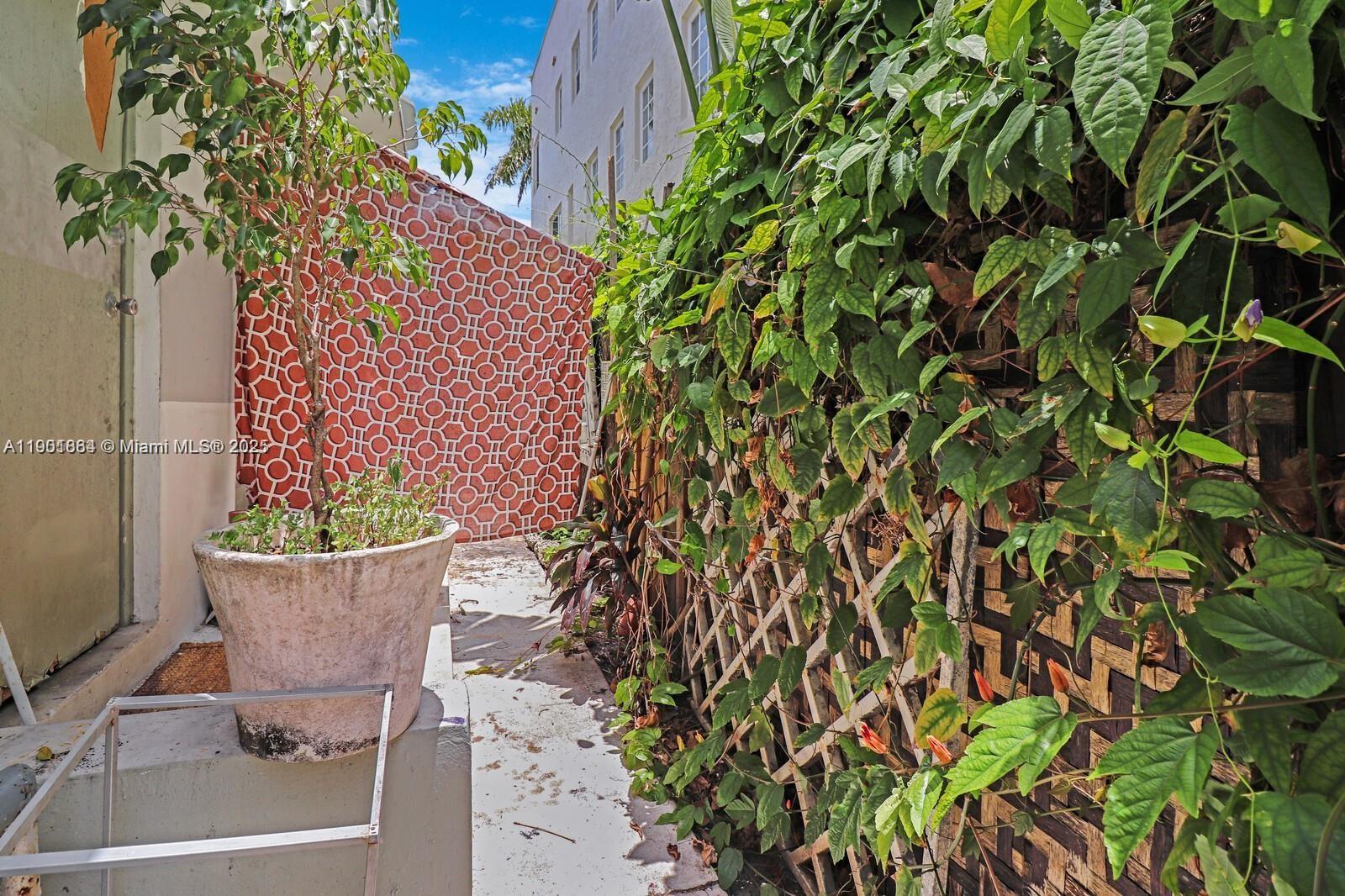 1250 Drexel Avenue, Unit 7 Miami Beach, FL 33139 - Photo 24 of 30 a view of a small yard with a potted plant