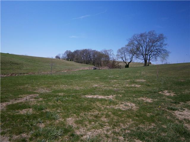 1998 Haley Road Watertown, TN 37184 - Photo 3 of 13 Gallery Image 3