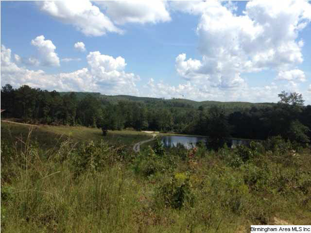 Selma Road, Unit 34ACRES Centreville, AL 35042 - Photo 7 of 15 Gallery Image 7