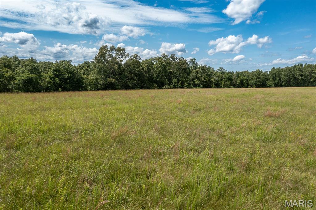 0 Tract 7 Bcr 924 Patton, MO 63662 - Photo 12 of 13