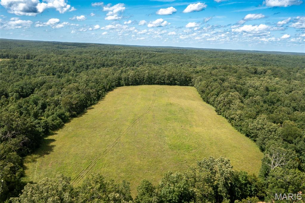 0 Tract 7 Bcr 924 Patton, MO 63662 - Photo 13 of 13