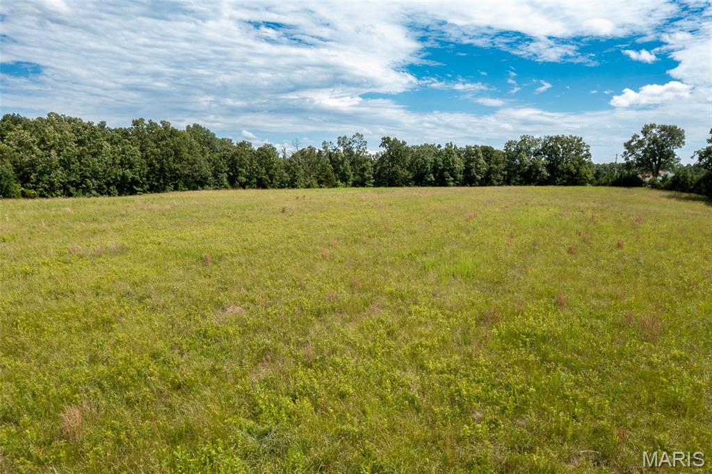 0 Tract 7 Bcr 924 Patton, MO 63662 - Photo 4 of 13