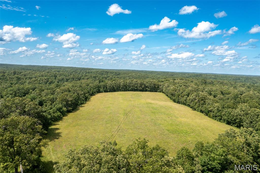 0 Tract 7 Bcr 924 Patton, MO 63662 - Photo 5 of 13