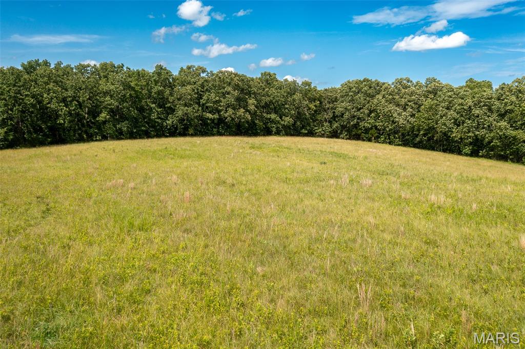 0 Tract 7 Bcr 924 Patton, MO 63662 - Photo 6 of 13