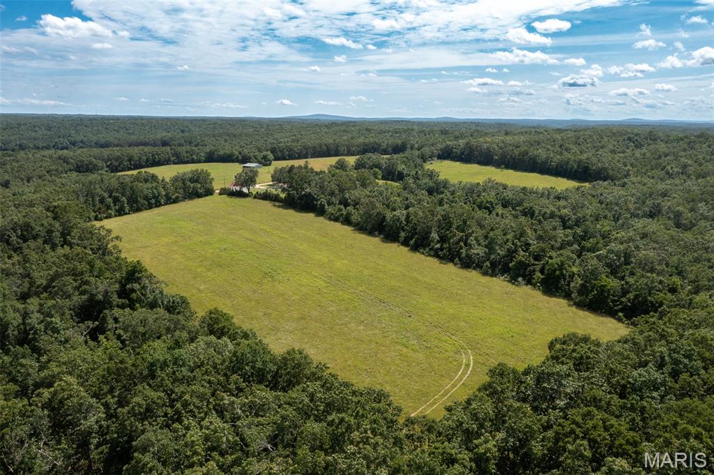 0 Tract 7 Bcr 924 Patton, MO 63662 - Photo 7 of 13