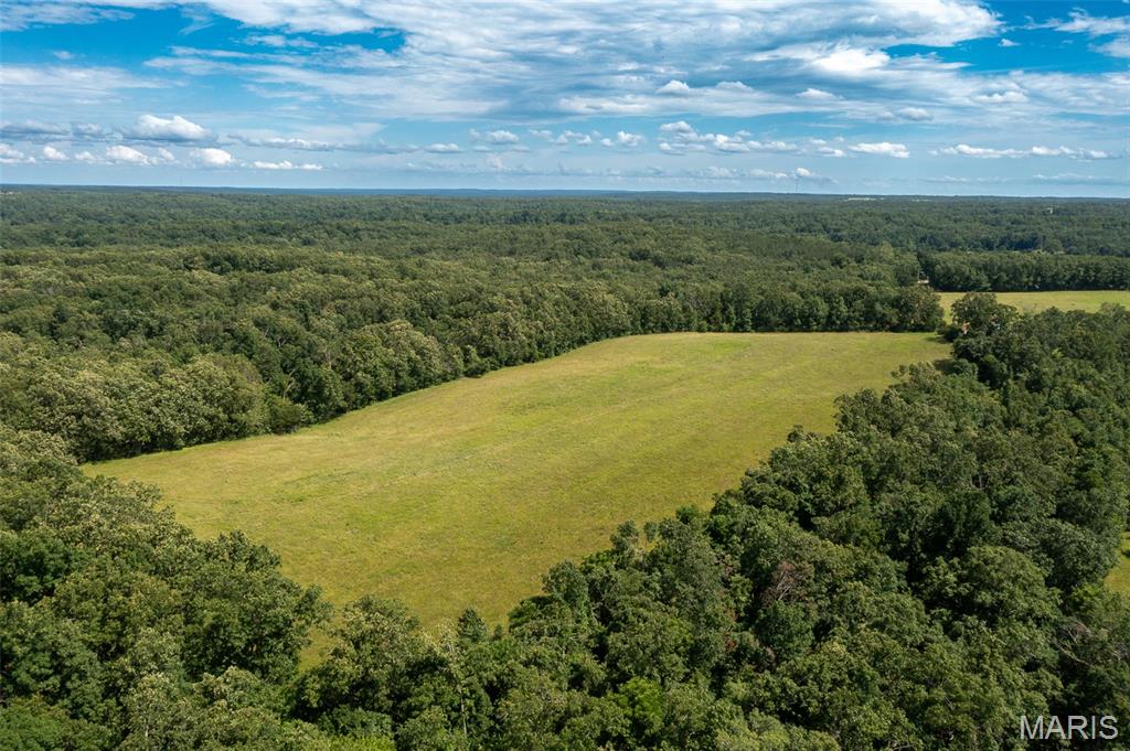 0 Tract 7 Bcr 924 Patton, MO 63662 - Photo 9 of 13