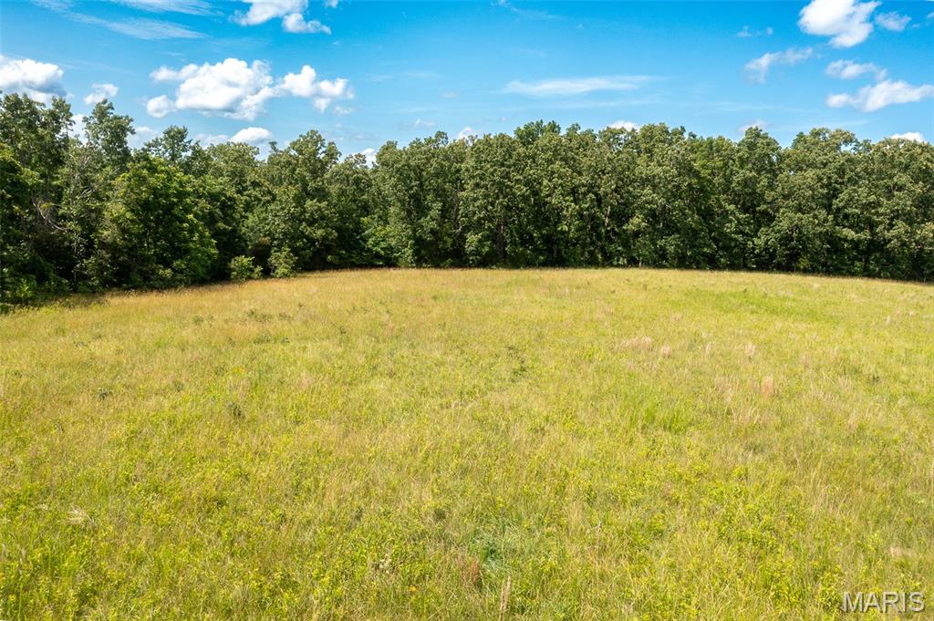 0 Tract 7 Bcr 924 Patton, MO 63662 - Photo 10 of 13